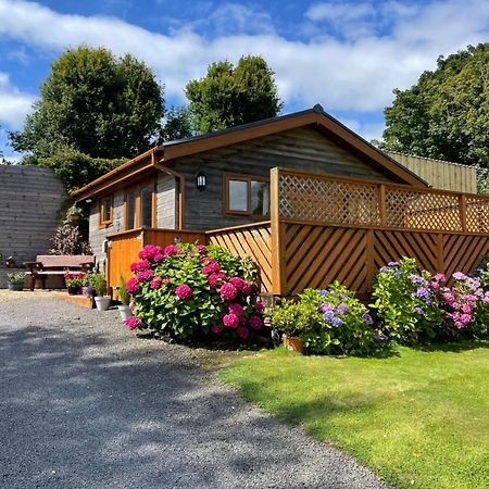 Swansea Log Cabin Pontardawe Eksteriør billede