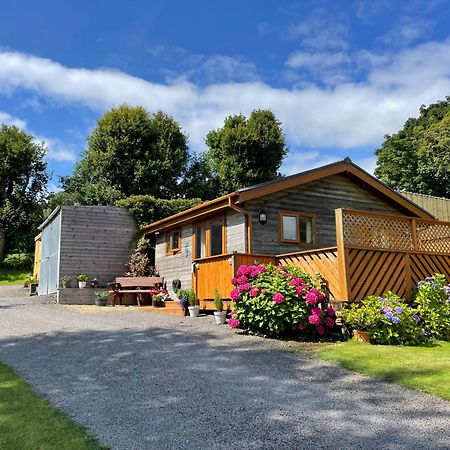 Swansea Log Cabin Pontardawe Eksteriør billede