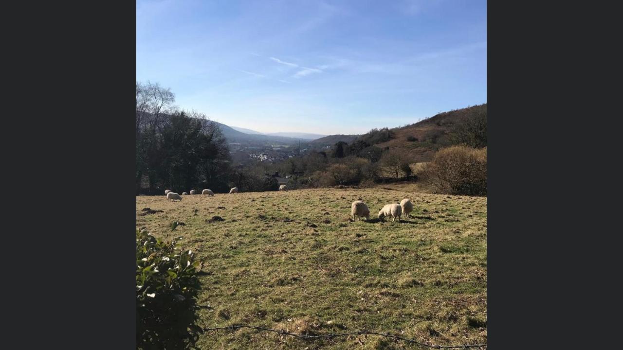 Swansea Log Cabin Pontardawe Eksteriør billede
