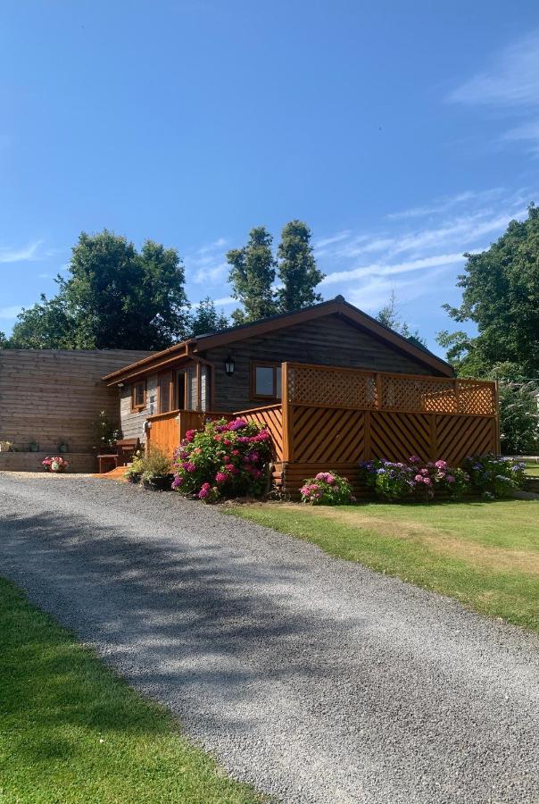 Swansea Log Cabin Pontardawe Eksteriør billede