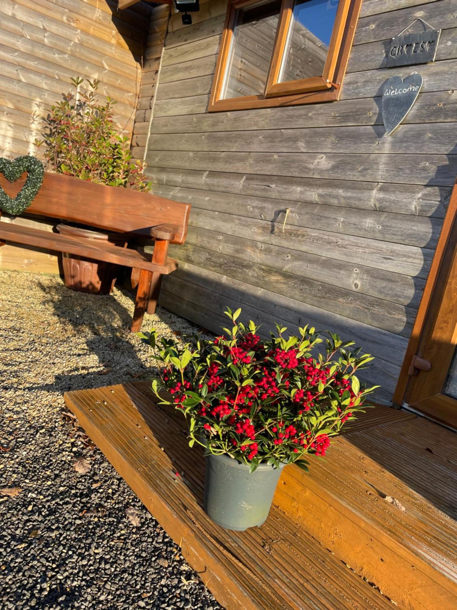 Swansea Log Cabin Pontardawe Eksteriør billede