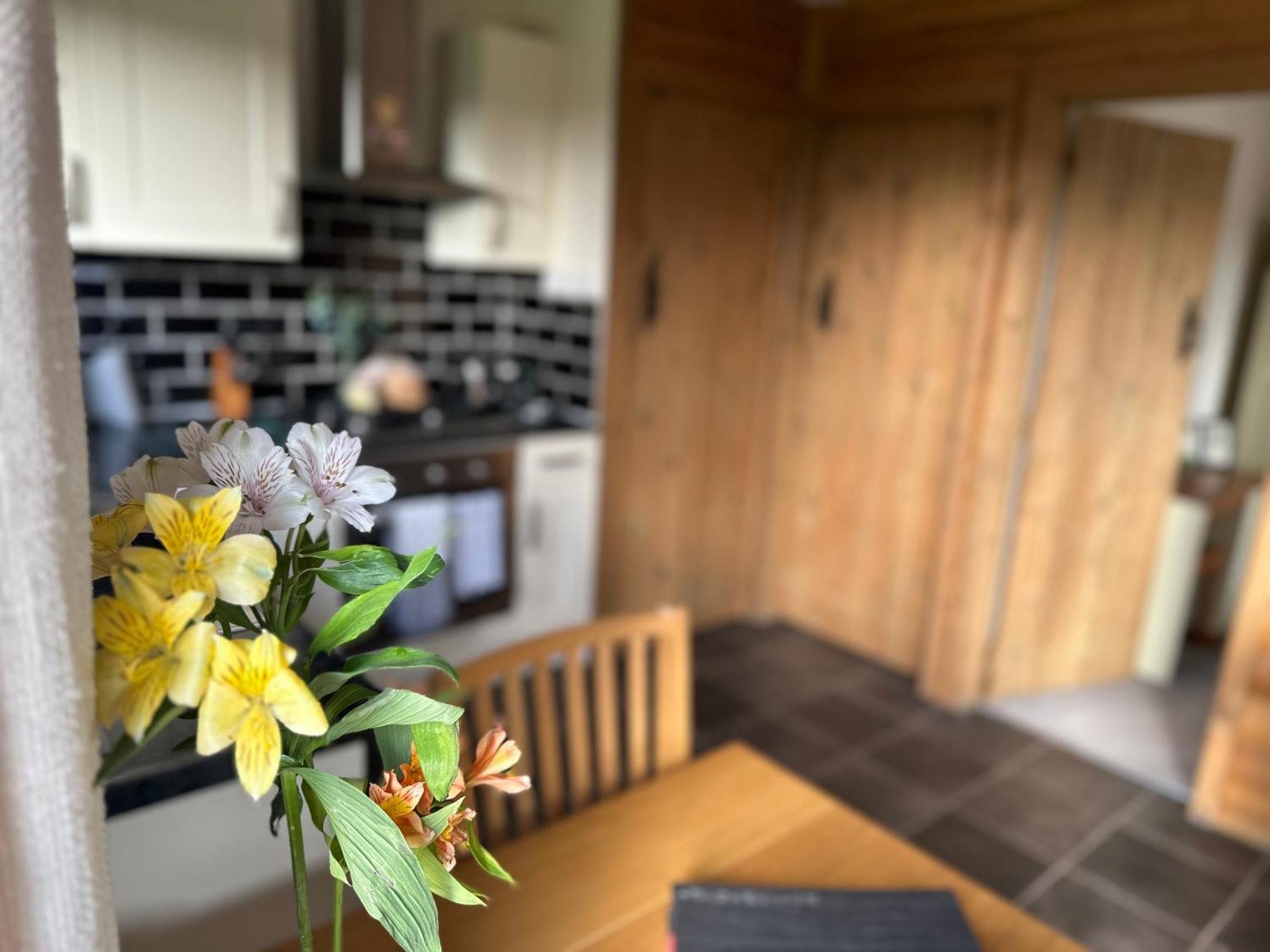 Swansea Log Cabin Pontardawe Eksteriør billede