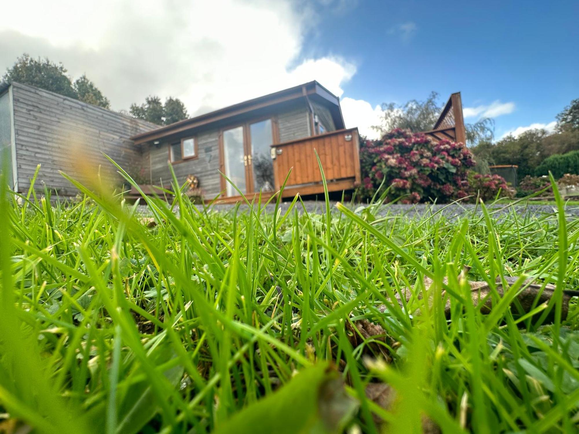 Swansea Log Cabin Pontardawe Eksteriør billede