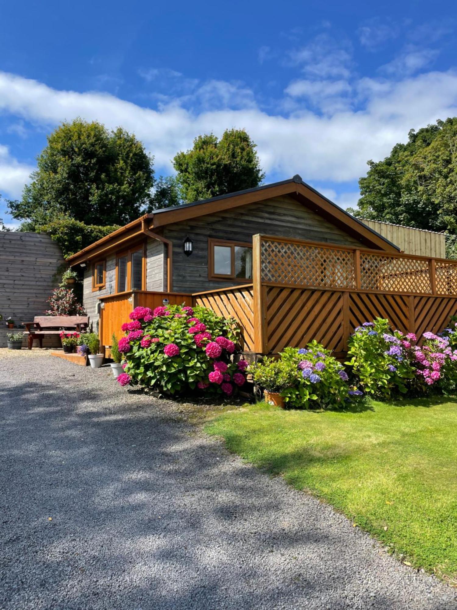 Swansea Log Cabin Pontardawe Eksteriør billede