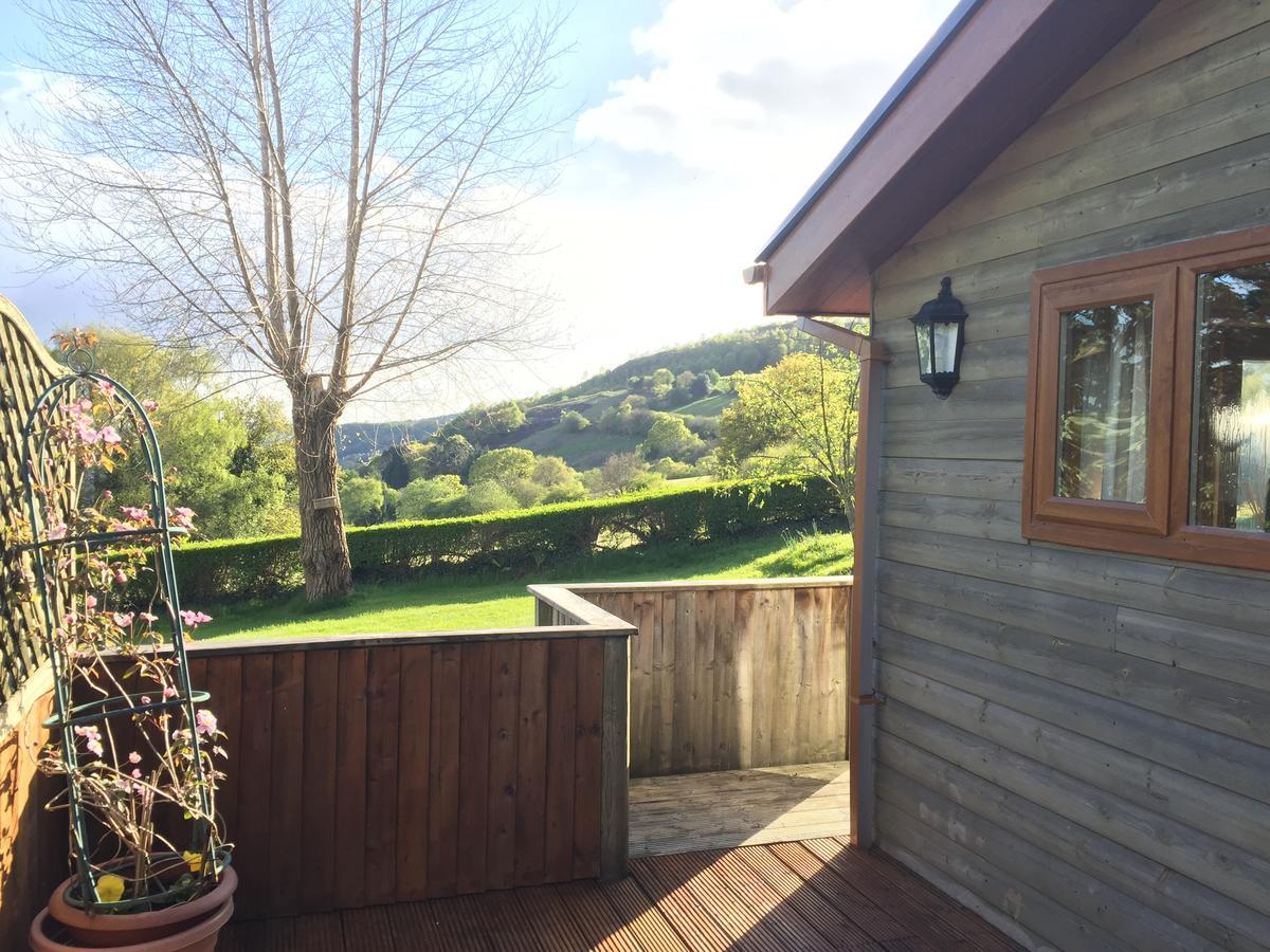 Swansea Log Cabin Pontardawe Eksteriør billede