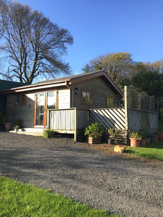 Swansea Log Cabin Pontardawe Eksteriør billede
