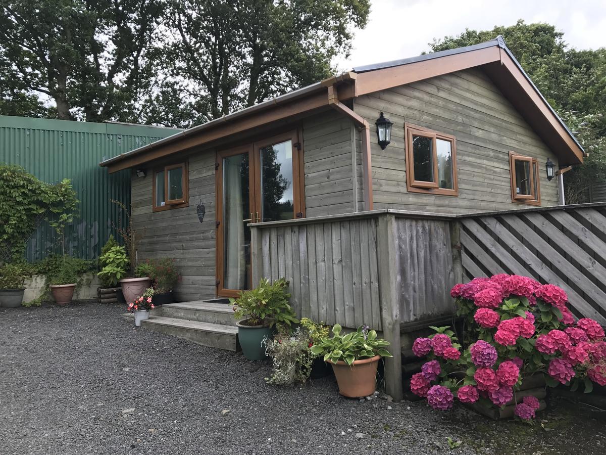 Swansea Log Cabin Pontardawe Eksteriør billede