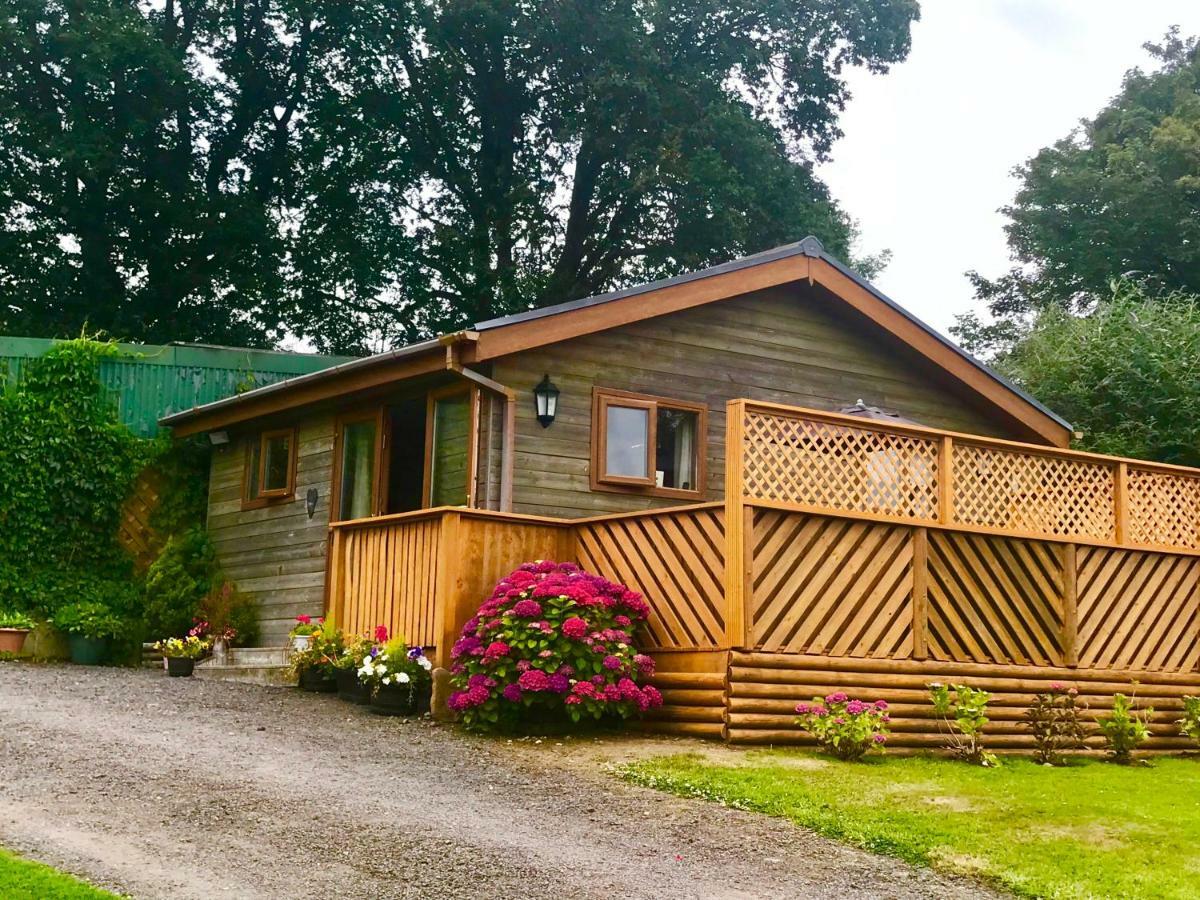 Swansea Log Cabin Pontardawe Eksteriør billede